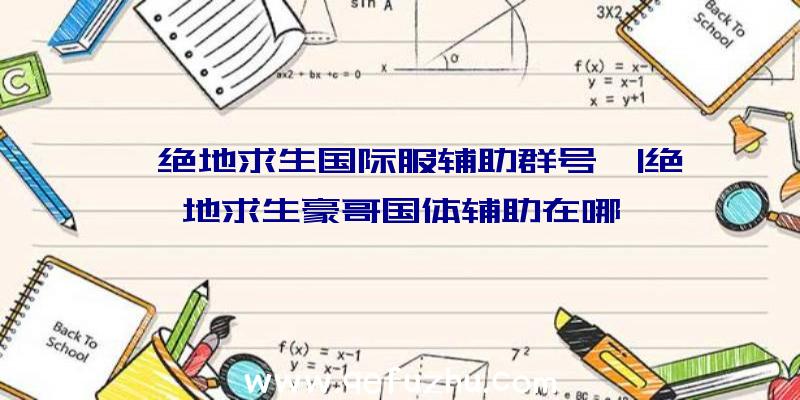 「绝地求生国际服辅助群号」|绝地求生豪哥国体辅助在哪